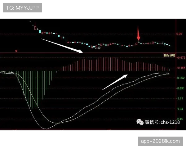 犯规地点如何判定？裁判规则全解析让你不再迷惑