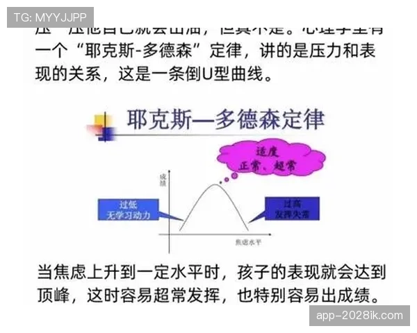 杜埃高开低走？新星持续性与成长曲线分析