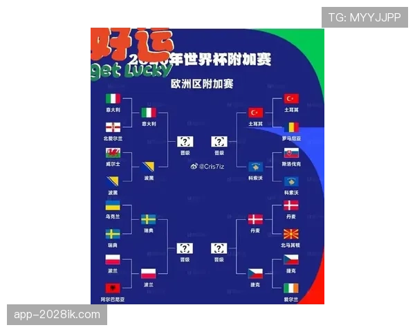 奥地利冲击2026世界杯赛程前瞻：能否突围欧洲区预选赛