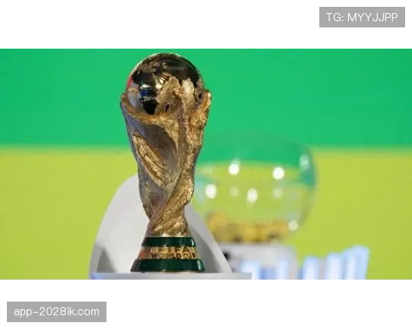 2026世界杯美国队出线概率有多高